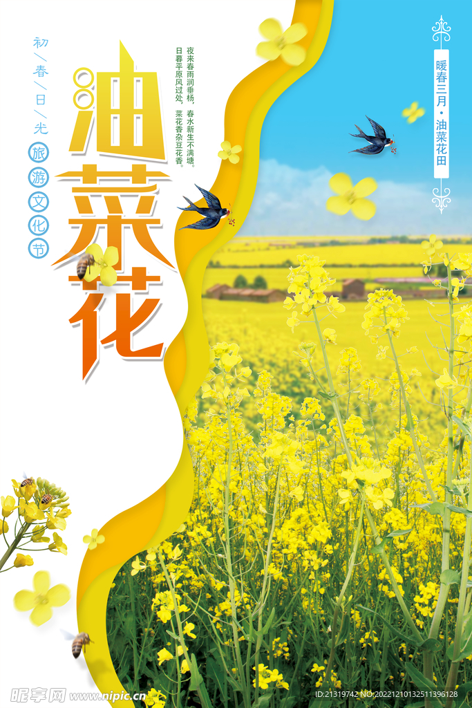 油菜花海报