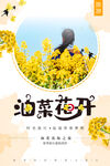 油菜花开海报