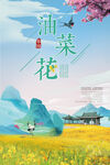 油菜花海报