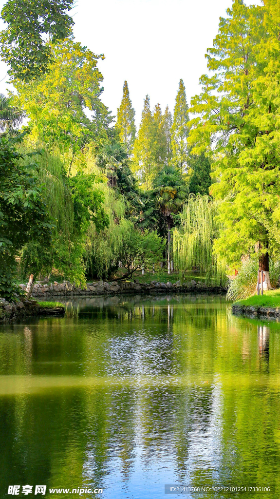 江边河滩江水