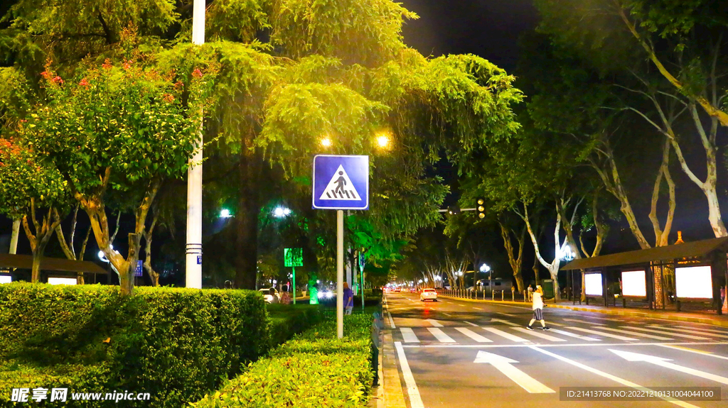 林荫大道风景