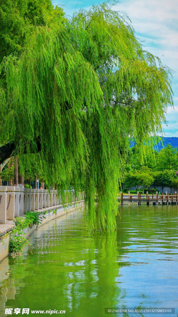 江边河滩江水