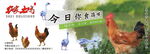 农家果场土鸡