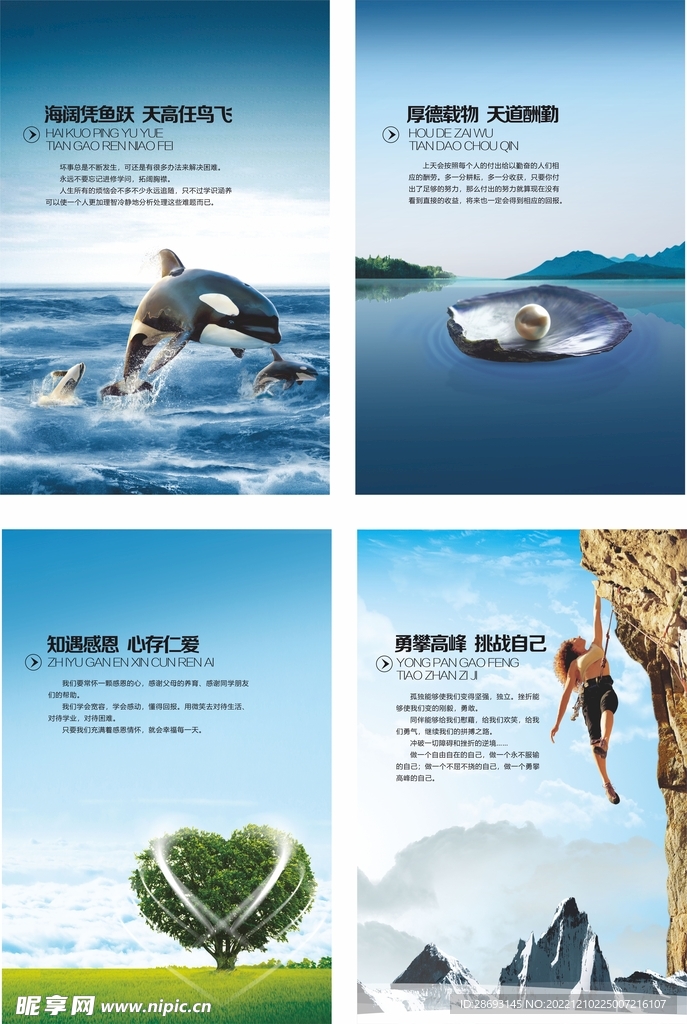 企业文化展板