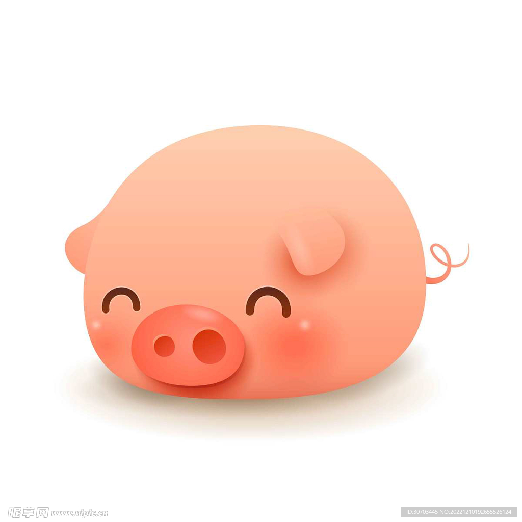 小猪猪