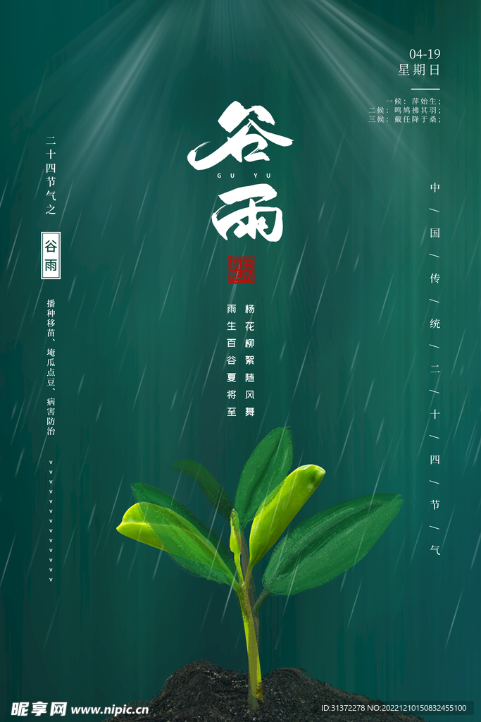  谷雨插画图片