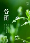 谷雨插画图片