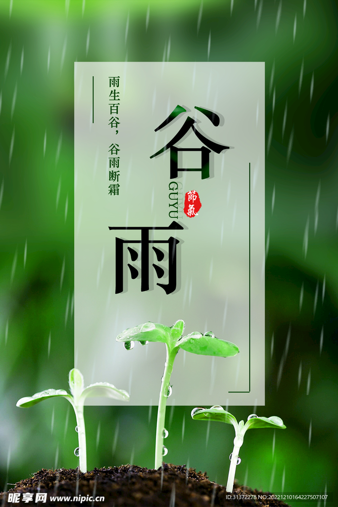 谷雨插画图片