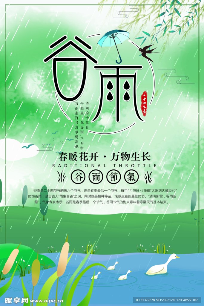  谷雨插画图片