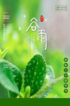 谷雨插画图片