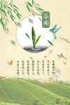  谷雨插画图片