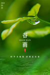 谷雨插画图片