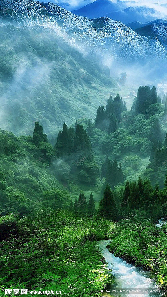 山林里的河流