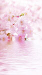水花波纹