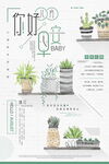 小清新植物系列唯美海报