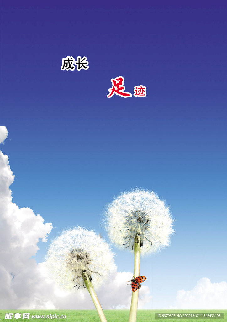 成长档案