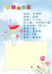 成长档案
