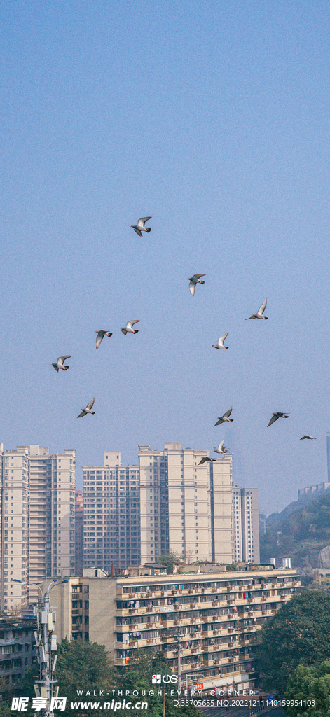 都市风光 田园风光 