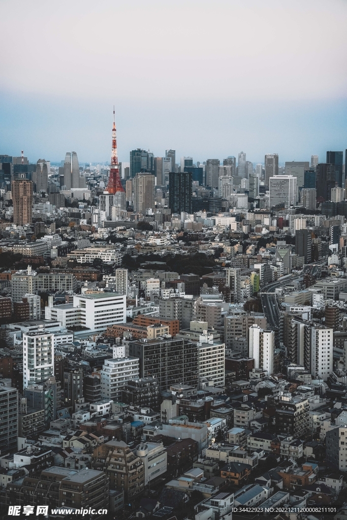 城市