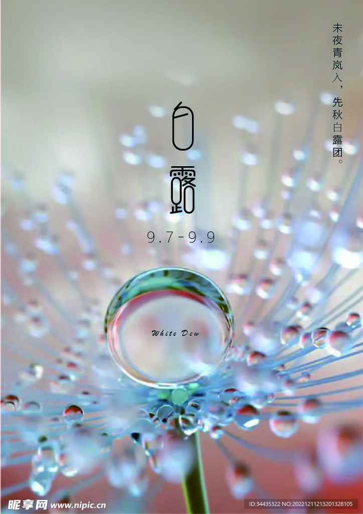 节气海报