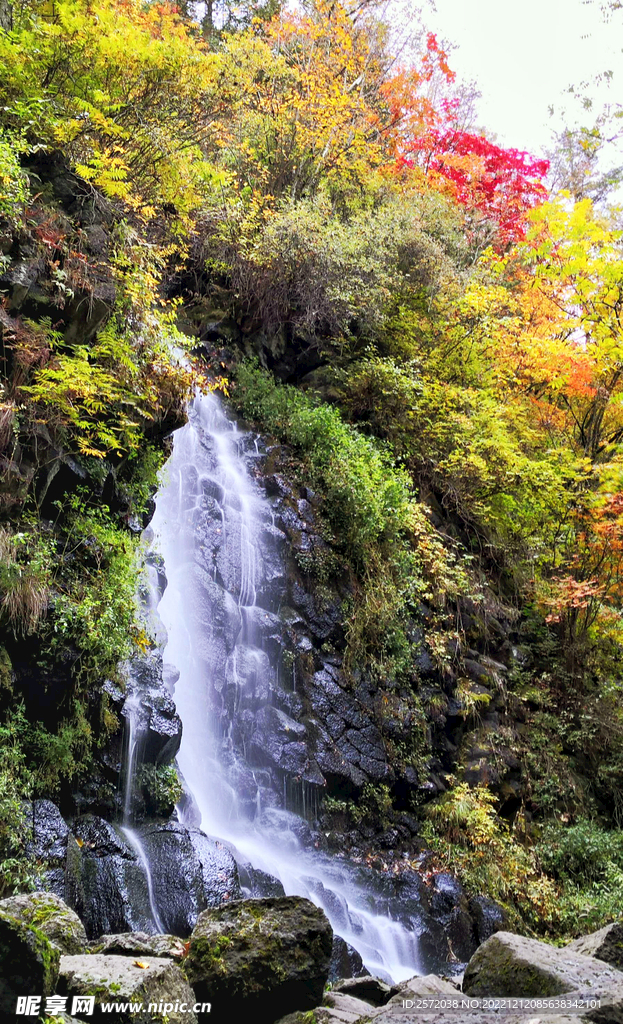 长白山秋色