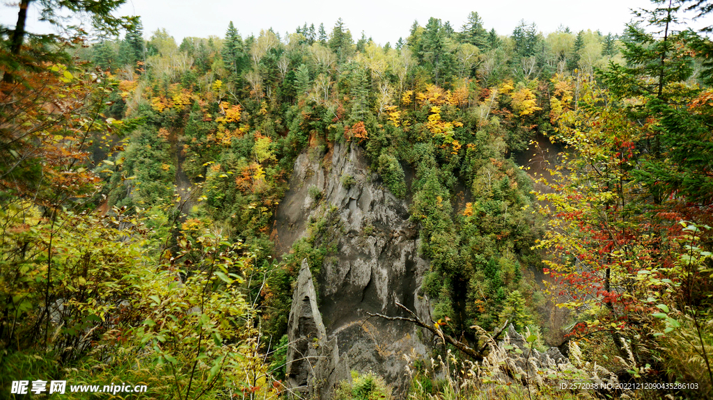长白山秋色