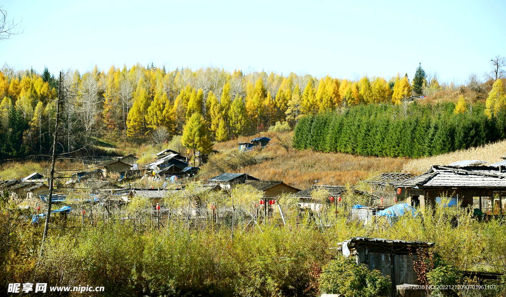 长白山秋色