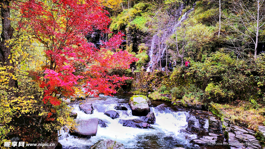 长白山秋色