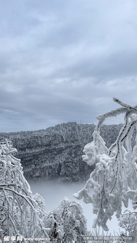 峨眉山雷洞坪金顶雪景摄影