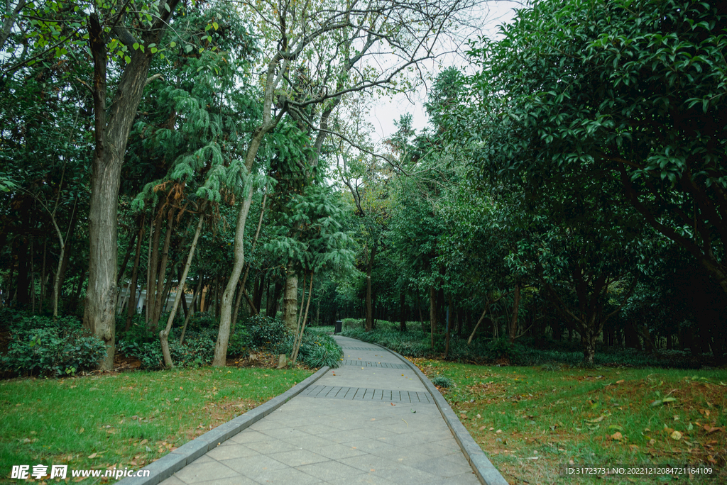 公园风景