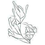 线描花