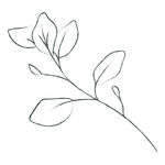 线描花
