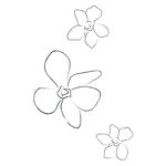 线描花