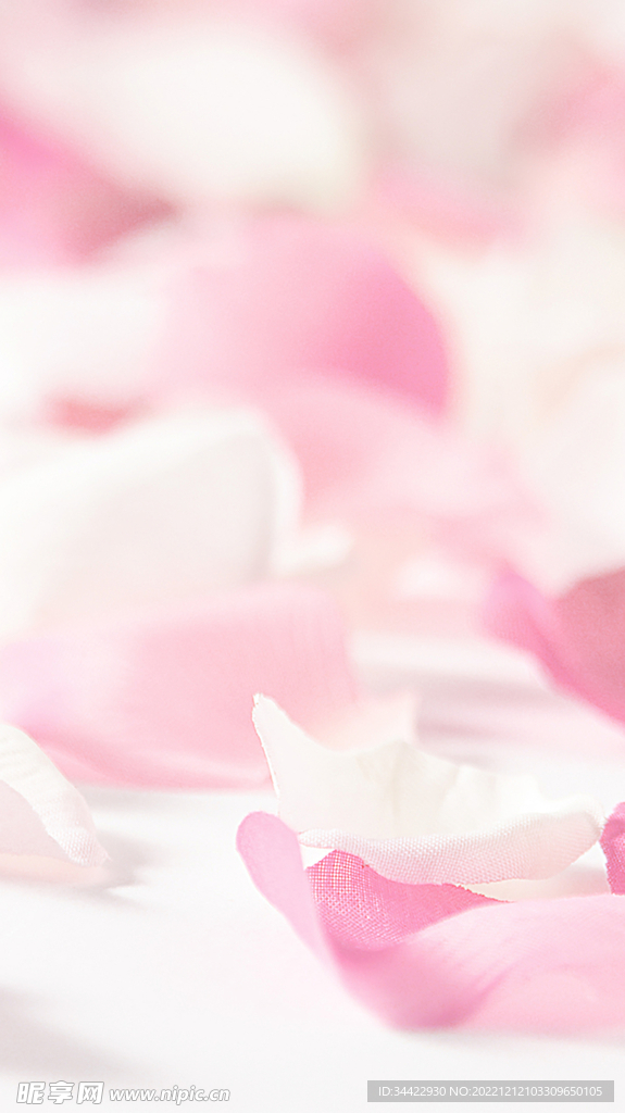 粉红玫瑰花瓣背景