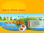生态咸鸭蛋