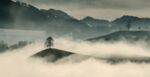 山林