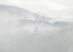山林