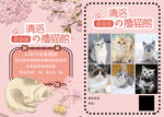 猫咖