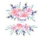 花纹 