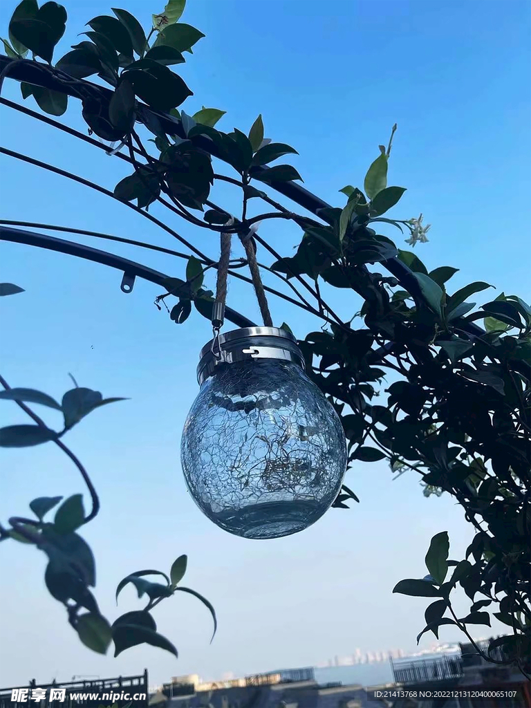 清新绿植植物