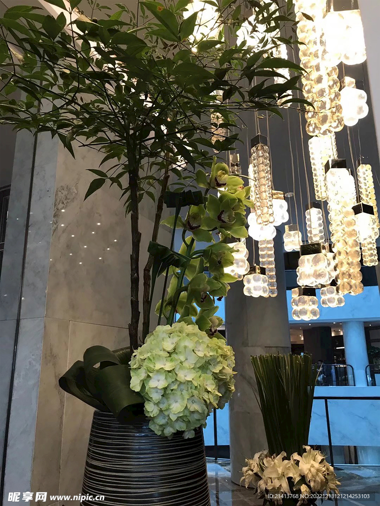 绿植绿叶植物