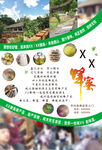 自家蜂蜜宣传单
