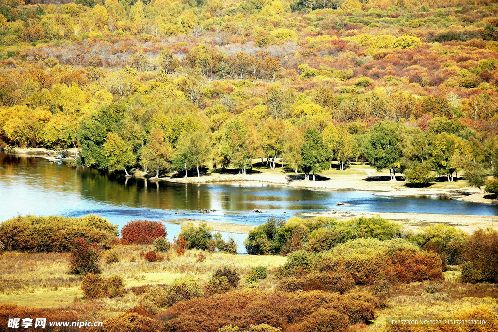 内蒙古额尔古纳湿地
