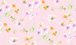 黄花