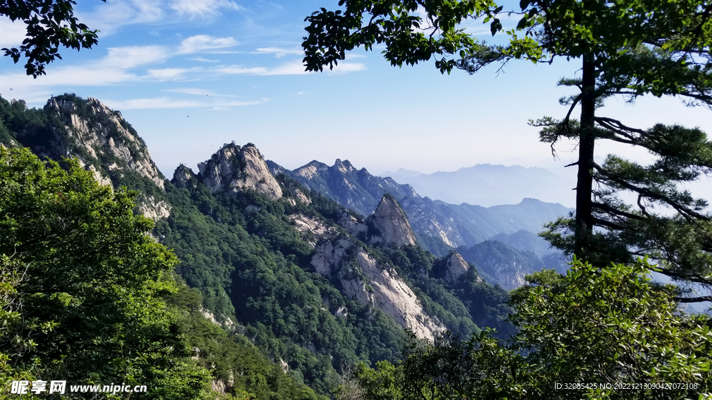 春天爬山绿树松树蓝天