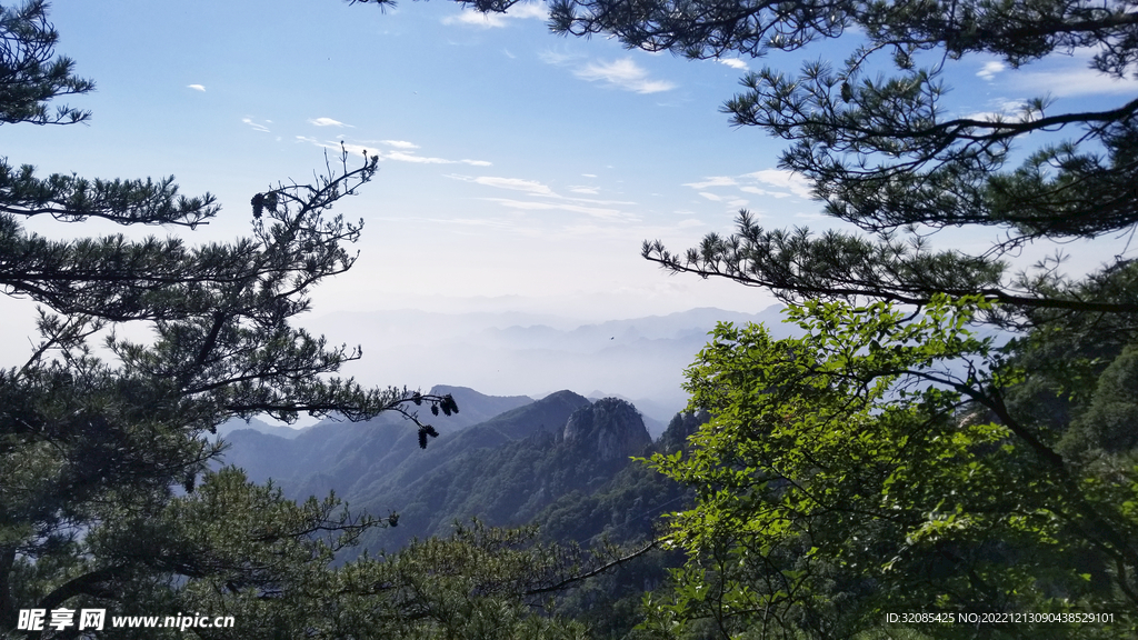 春天爬山绿树松树蓝天