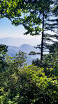 春天爬山绿树松树蓝天