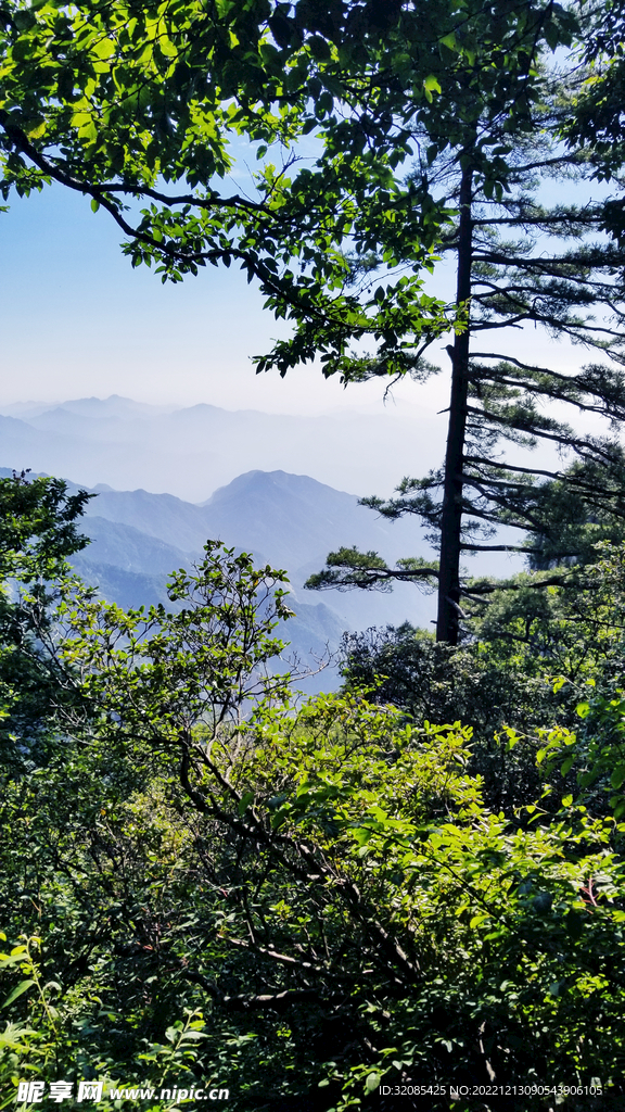 春天爬山绿树松树蓝天