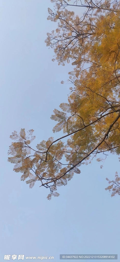天空