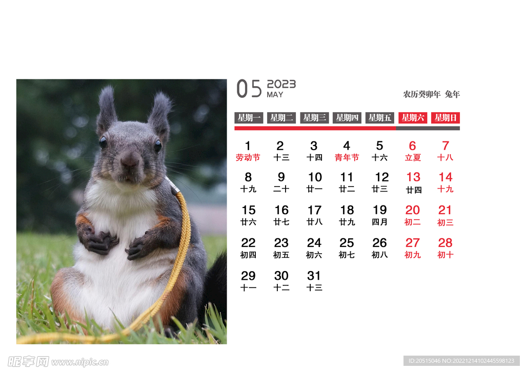 5月